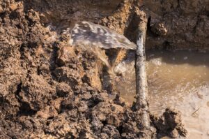 What-To-Look-For-In-A-Water-Line-Repair-Service-_-Midlothian,-TX