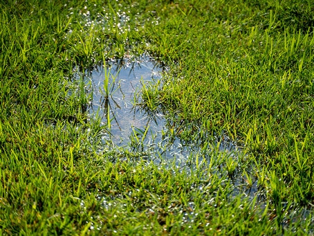 Can A Plumbing Service Fix A Soggy Yard? | Waxahachie, TX