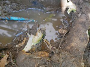 Benefits-Of-Hiring-Professional-Water-Line-Repair-Experts-_-Midlothian,-TX