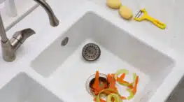 Vegetable scraps in the kitchen sink with a garbage disposal.