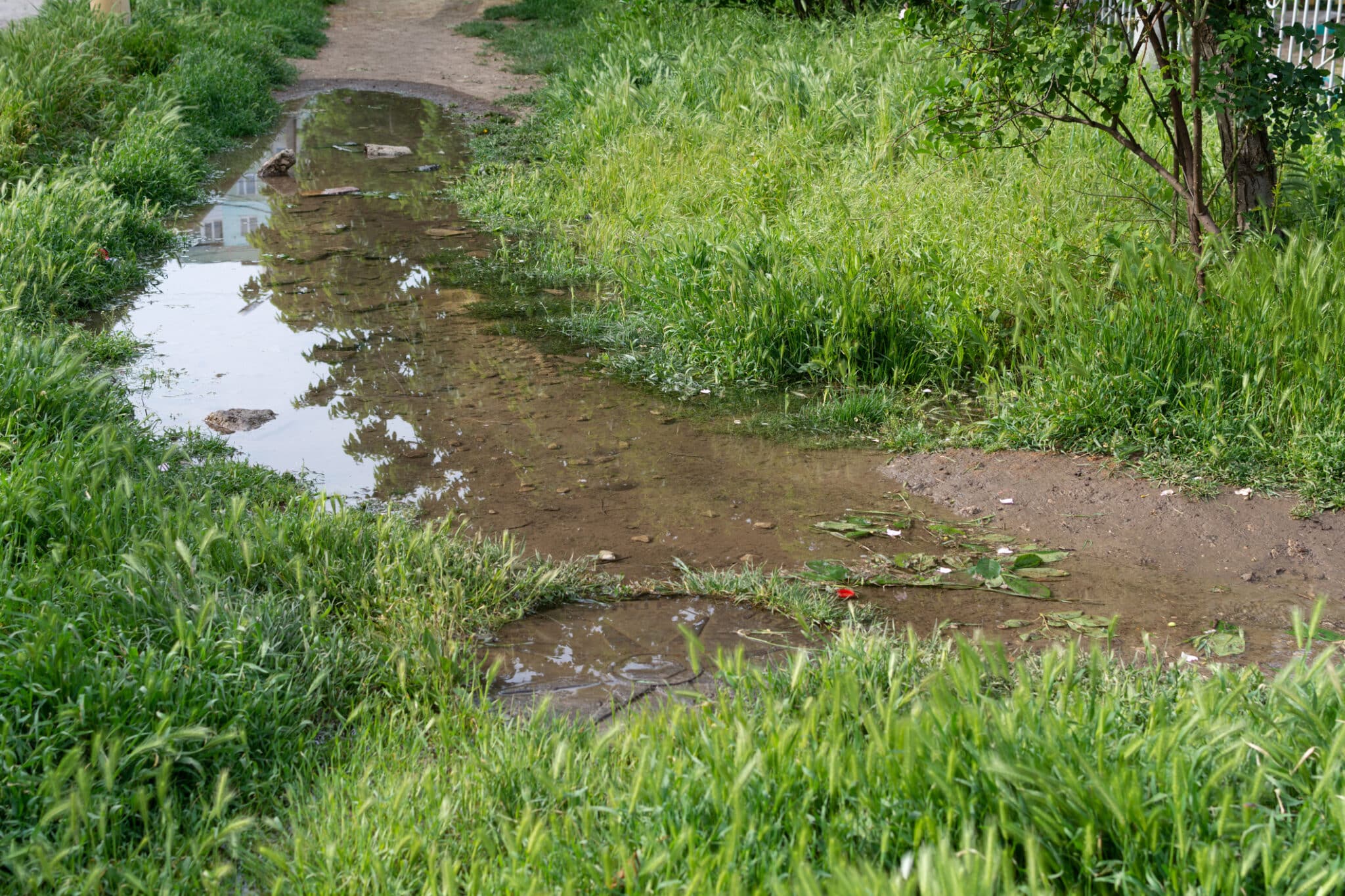 Water breakthrough sewer, Sewer Line Maintenance.
