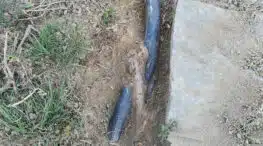 What Triggers Sewer Line Backups in Summer.