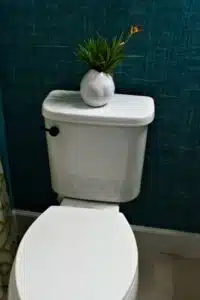 High-efficiency toilets, Plumbing Retrofitting.