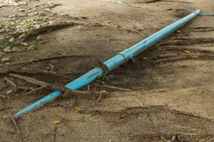 Tree root intrusion in pipes warning sign.