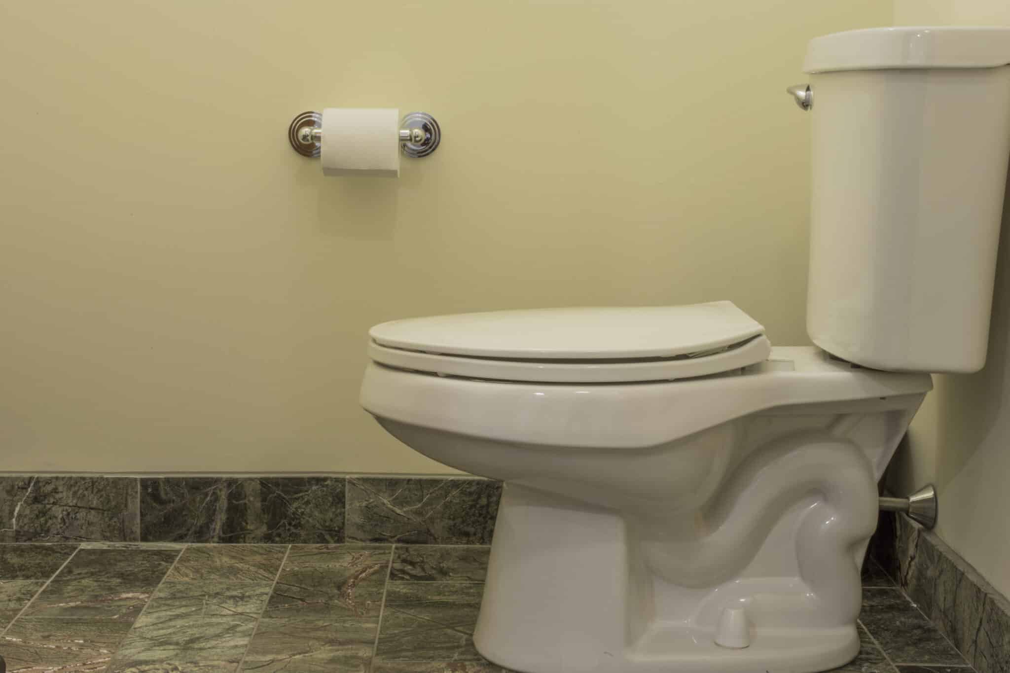 Toilet rough in measurements that prevent future headaches 1 Bathroom toilet, toilet rough in.