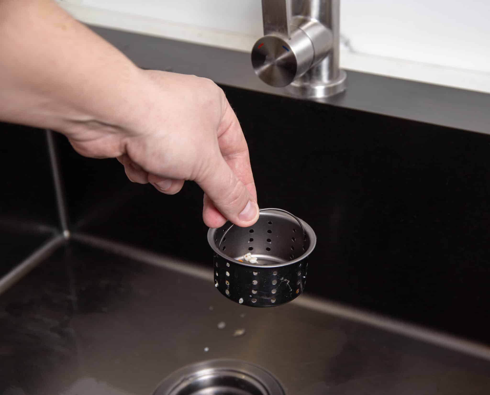 Strainers in sinks and showers, drain fly treatment.