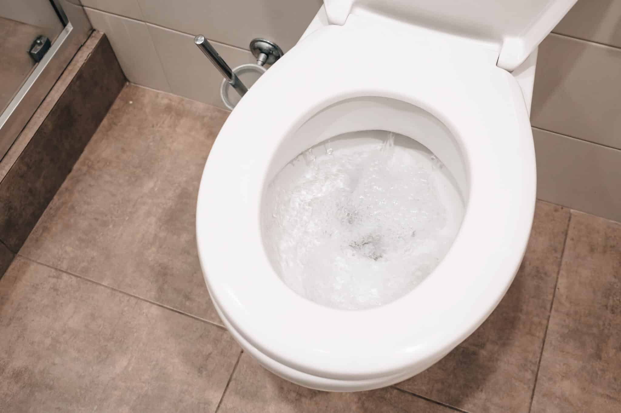 Understanding the toilet bubbling.