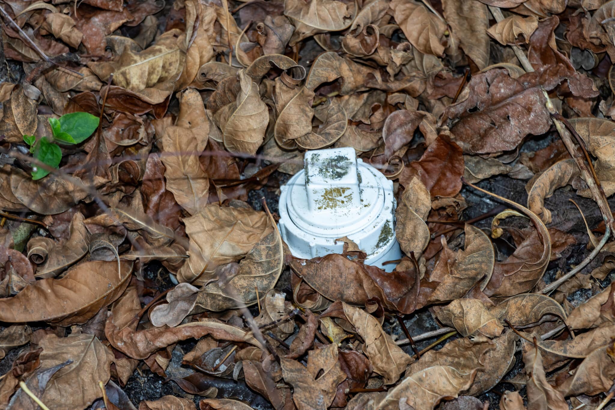 Sewer drain clean out access port, sewer cleanout location.