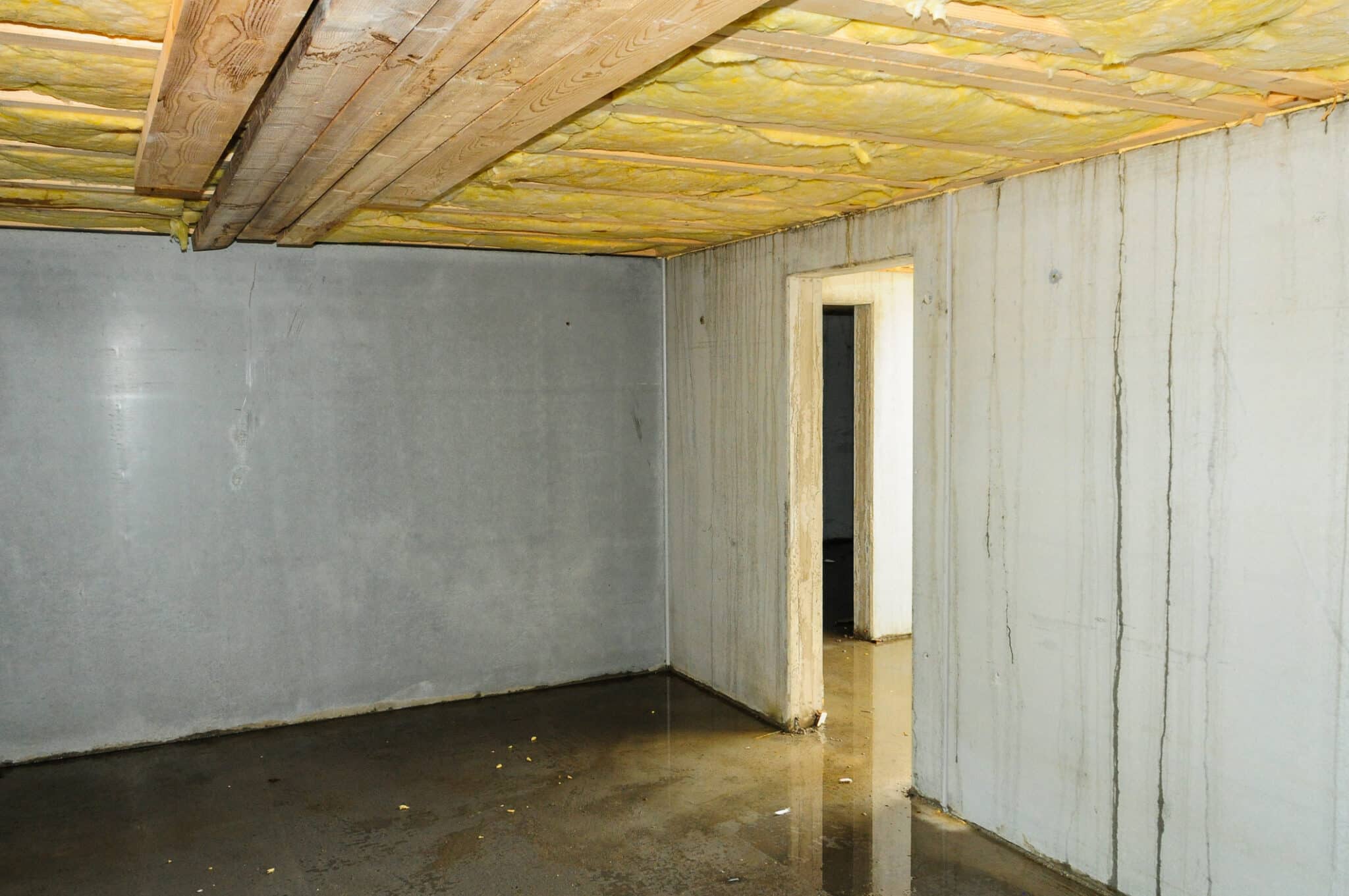 Water damage prevention strategies for texas homes 1 Plumbing failures, basement flooding, water damage prevention.